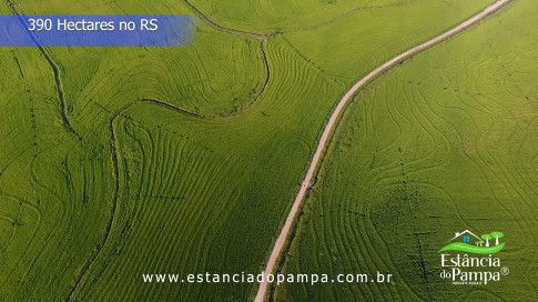 Renato Borghetti   Kilómetro Once (Transito Cocomarola)   Instrumental Sesc Brasil [VDownloader].00_02_19_01.Quadro038_cf35de1f0369ce26a2bbe779f79d6c6160cc9af5.jpg